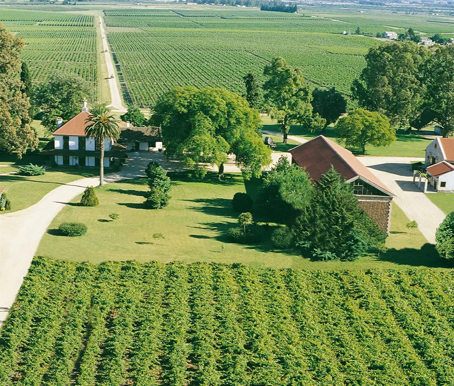 Enoturismo y La Ruta del Vino en Canelones