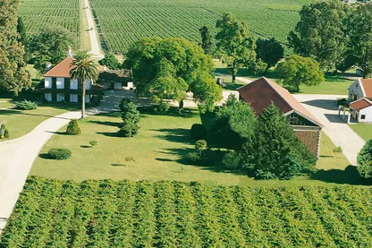 Enoturismo y La Ruta del Vino en Canelones