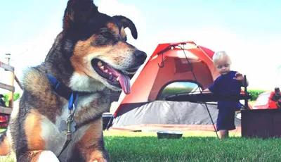 Alojamiento Parcela Camping
