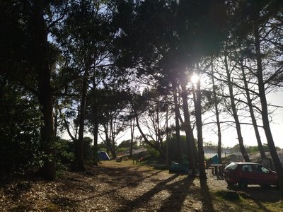 Camping - Zona arbolada con carpas