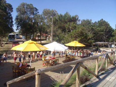 Evento escolar fin de año 2016