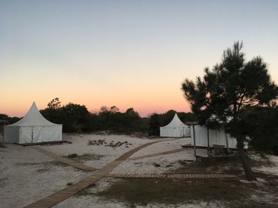Glamping - Exterior carpas y camino a ellas