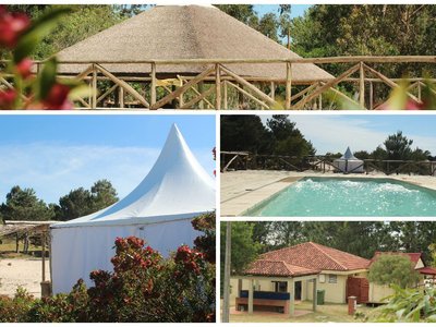 Glamping - Collage carpas, quinchado y piscina