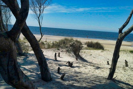 Playa Salinas Uruguay