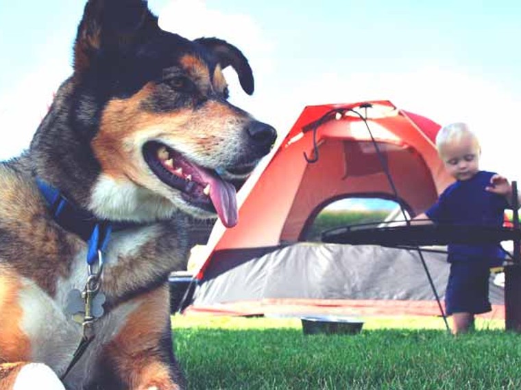 Alojamiento Parcela Camping